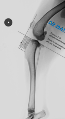 radiography-3 radiography-3